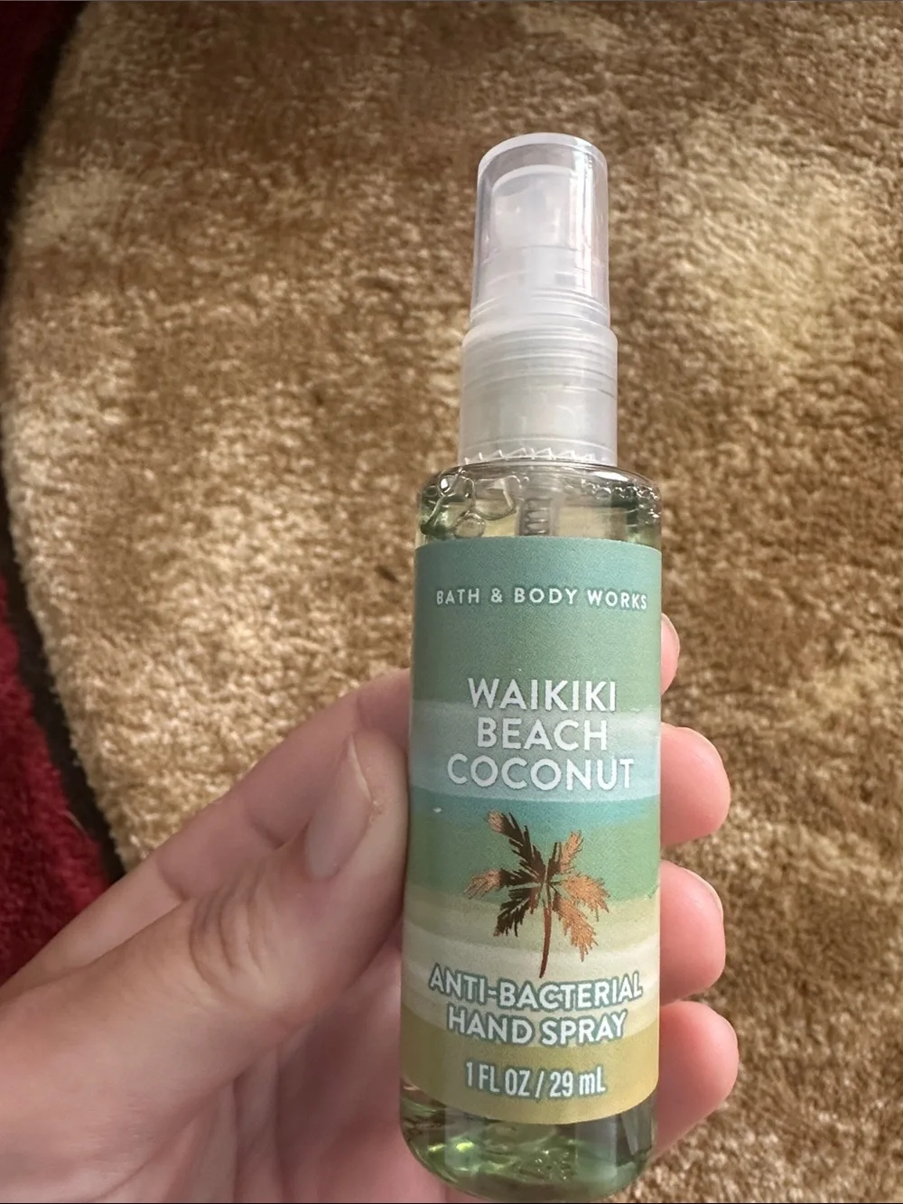 Waikiki Beach Coconut Anti-Bacterial Hand Spray